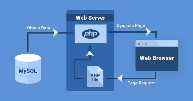 How to Use the WordPress Database